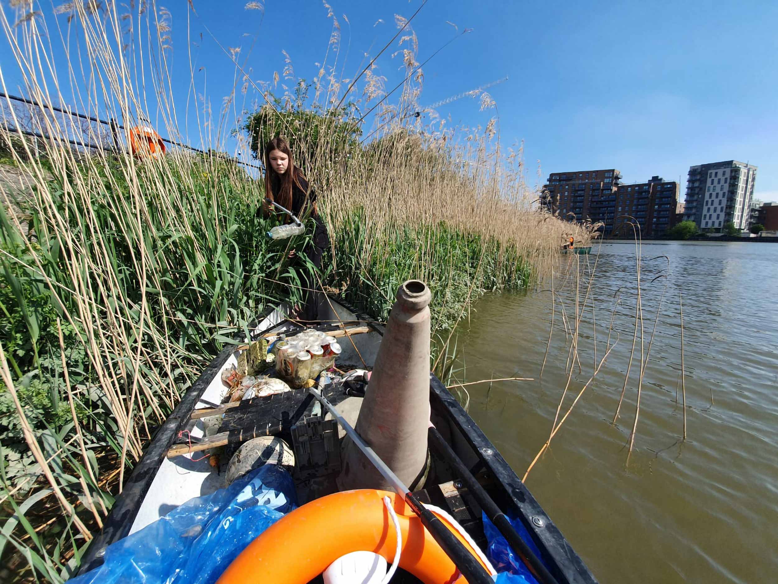 Picking litter out of a bank of reeds