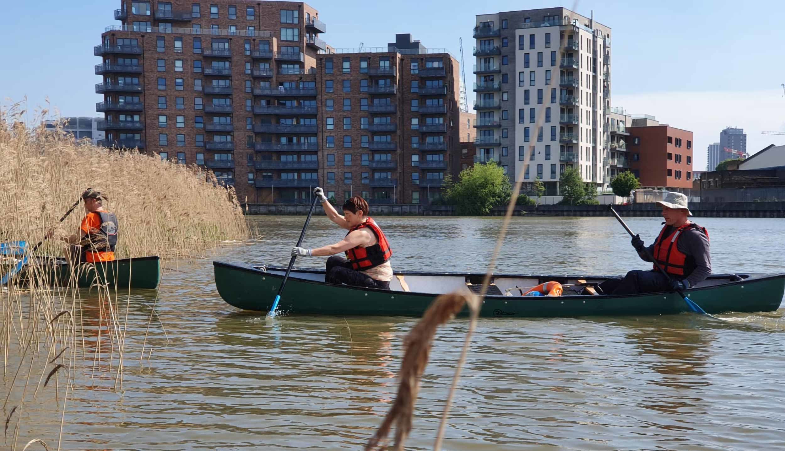 volunteers canoeing into reeds next to blocks of flats