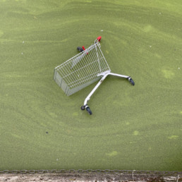 A trolley on green algae