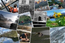 Collage of winning photographs from the 2022 Cody Dock Photo Competition