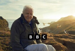 David Attenborough sitting on cliffs over looking the sea in England