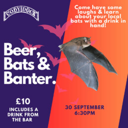 Beer, Bats & Banter flyer