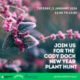 New year plant hunt flyer