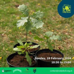 Flyer for tree planting event on Sunday the 18th of February 2024, from 10:30 to 15:00.