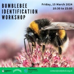Bumblebee ID workshop on friday 15 march 10:30 am to 3:00 pm.
