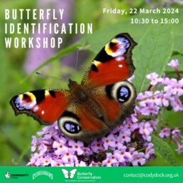 Butterfly ID workshop, friday 22nd of march 10:30 am to 15:00 pm.