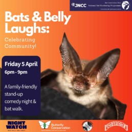 Bats and belly laughs event. Friday 5 April, 6pm to 9pm.