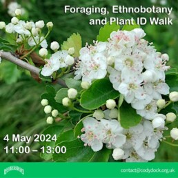 Foraging, Ethnobotany and Plant ID Walk - 4 May 11:00 to 13:00.