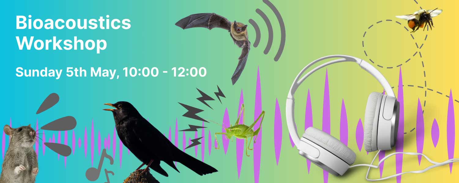 Bioacoustics, Sunday 5th May, 10am to 12am.